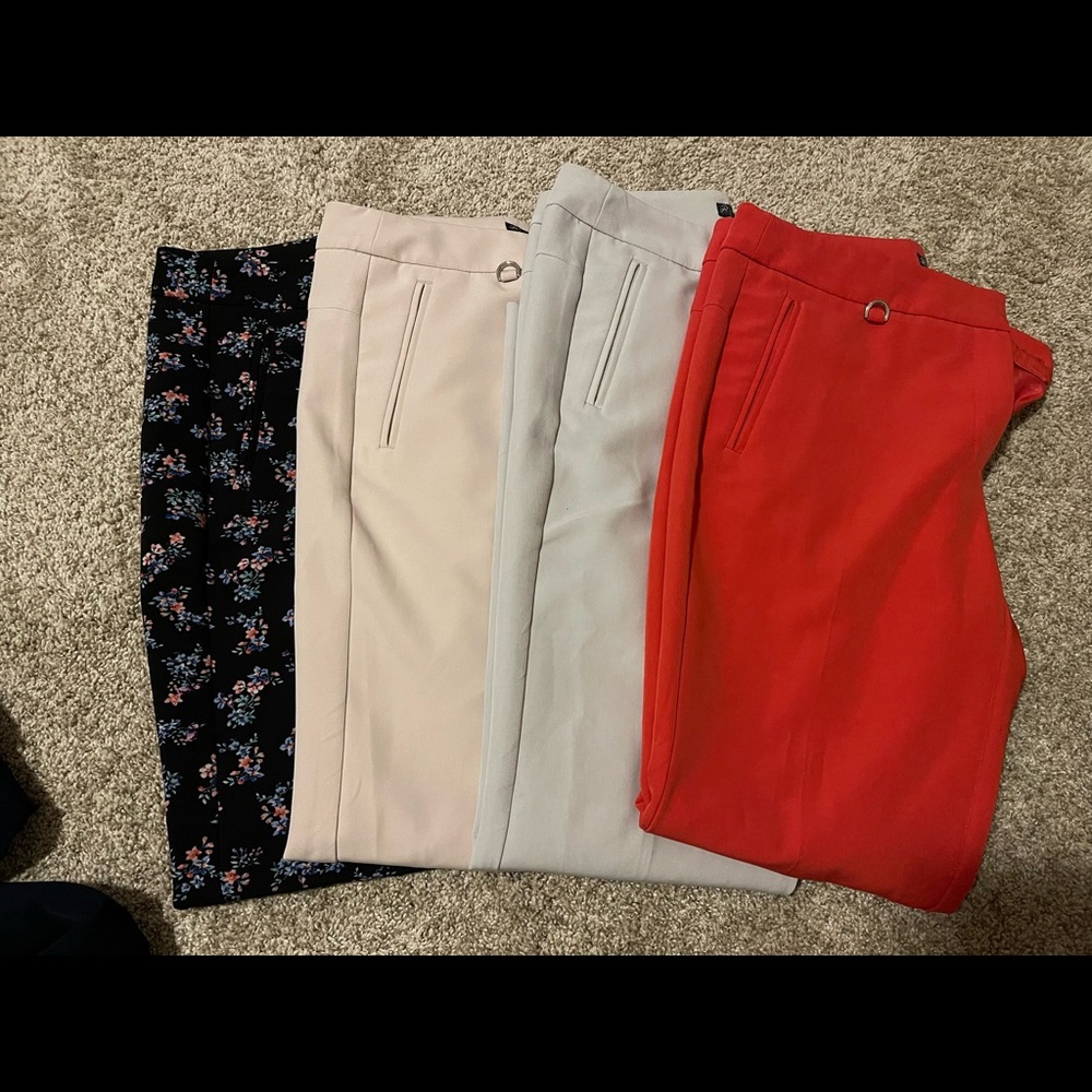 Adrianna Papell Kate Bi Stretch pants
